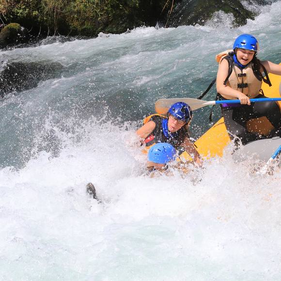 Meet your Posher, Lisa - Picture 1 of 1